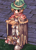 Mage Hat Combo.png